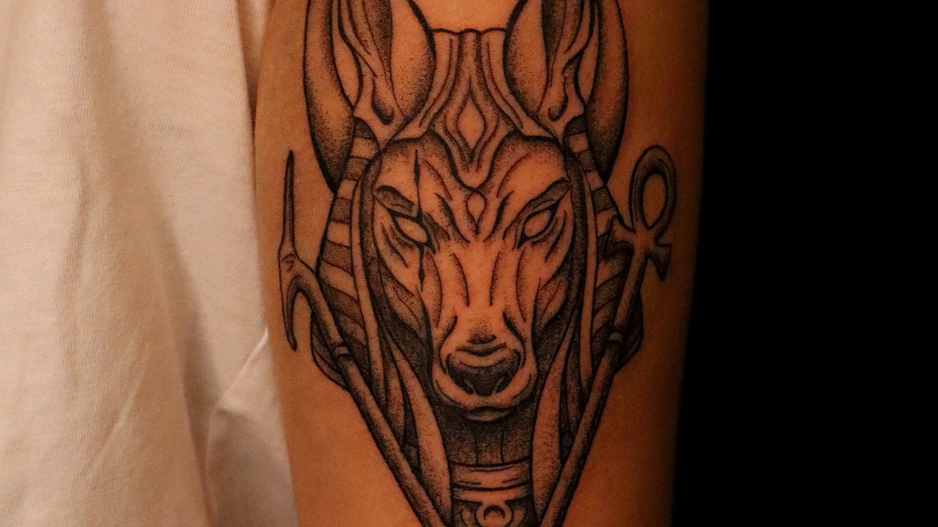 ASELIO TATTOO — tatoueur Rodez