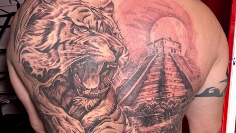Venin noir — tatoueur Ardres