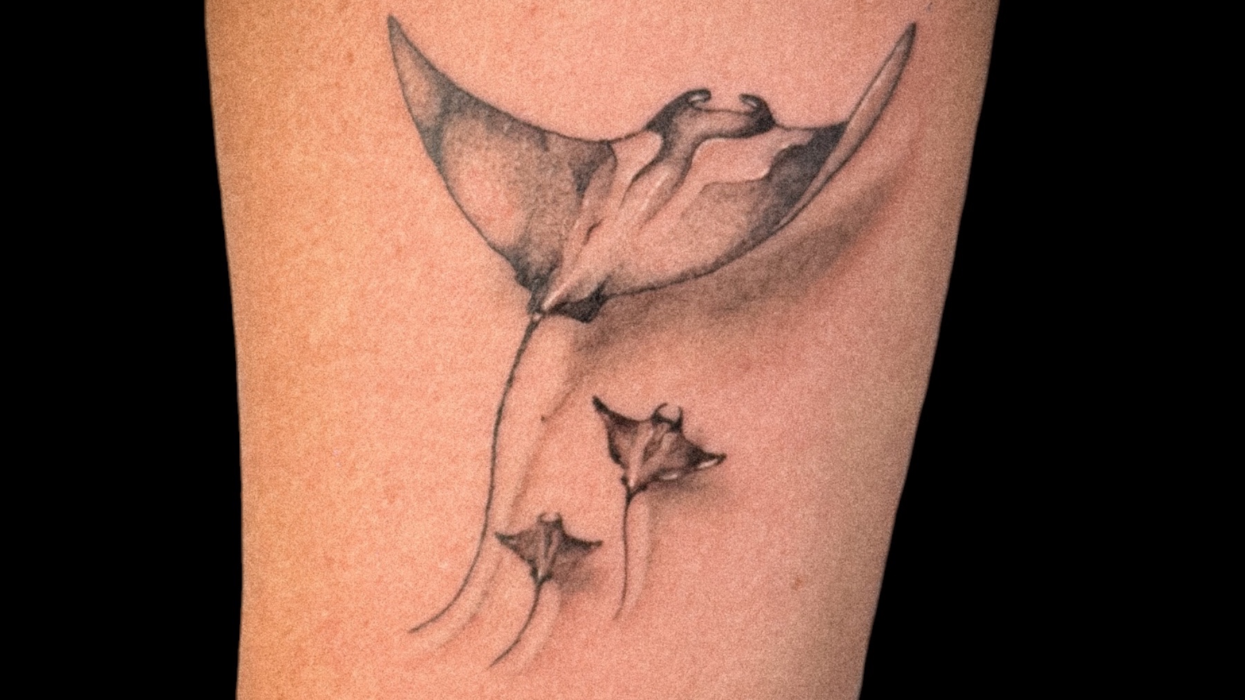 Byjack — tatoueur Argeles sur mer