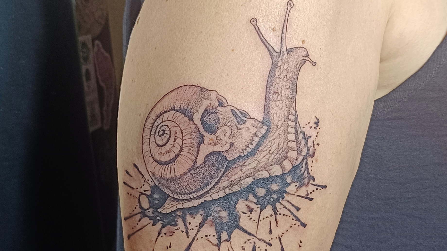 Ornithor'ink — tatoueur Mayrac
